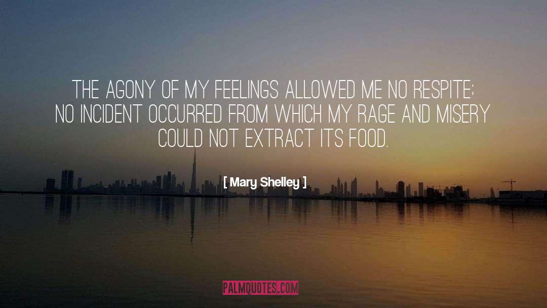 Mary Shelley Quotes: The agony of my feelings