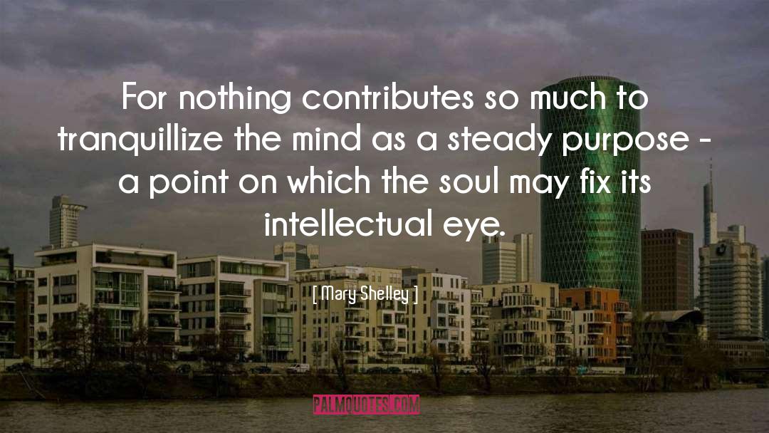 Mary Shelley Quotes: For nothing contributes so much