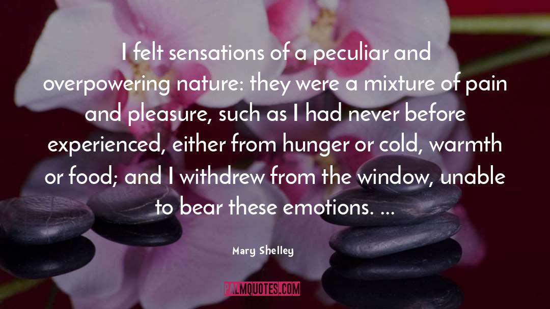 Mary Shelley Quotes: I felt sensations of a