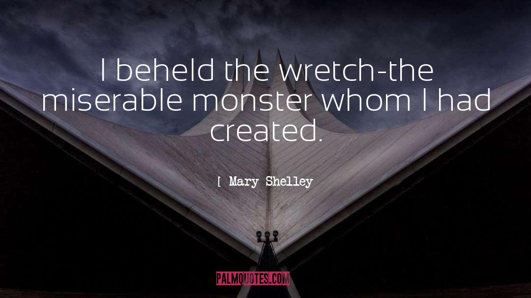 Mary Shelley Quotes: I beheld the wretch-the miserable