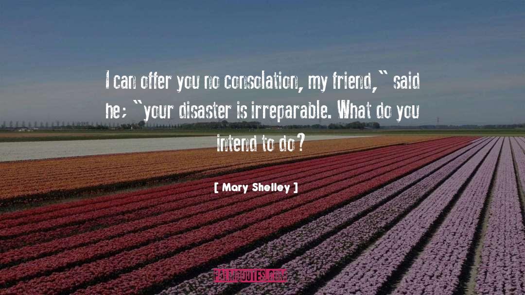 Mary Shelley Quotes: I can offer you no