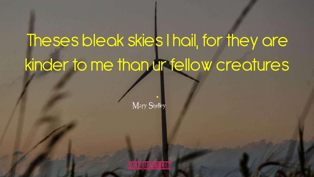 Mary Shelley Quotes: Theses bleak skies I hail,