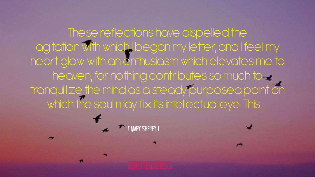 Mary Shelley Quotes: These reflections have dispelled the