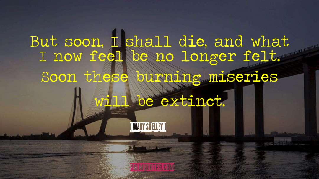 Mary Shelley Quotes: But soon, I shall die,