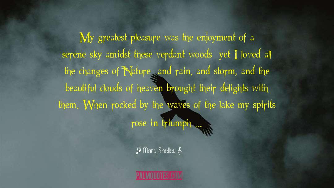 Mary Shelley Quotes: My greatest pleasure was the