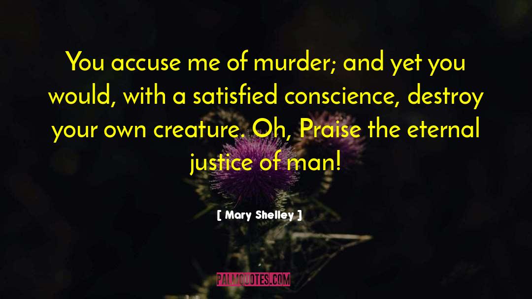 Mary Shelley Quotes: You accuse me of murder;
