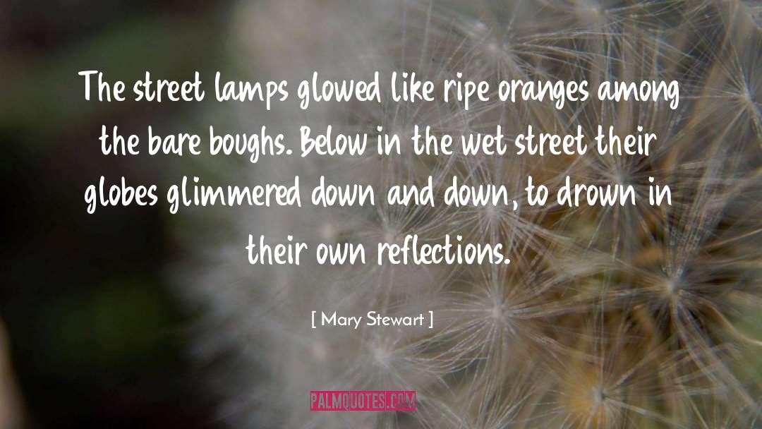 Mary  Stewart Quotes: The street lamps glowed like