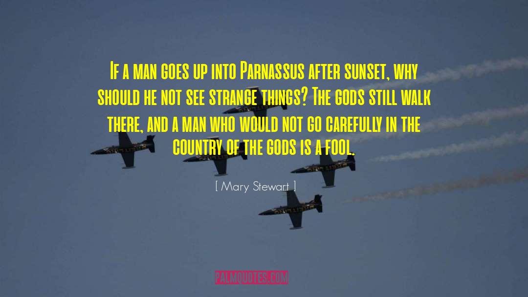 Mary  Stewart Quotes: If a man goes up