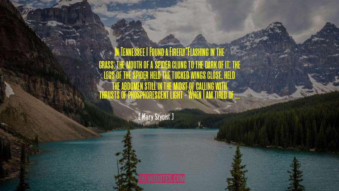 Mary Szybist Quotes: In Tennessee I Found a