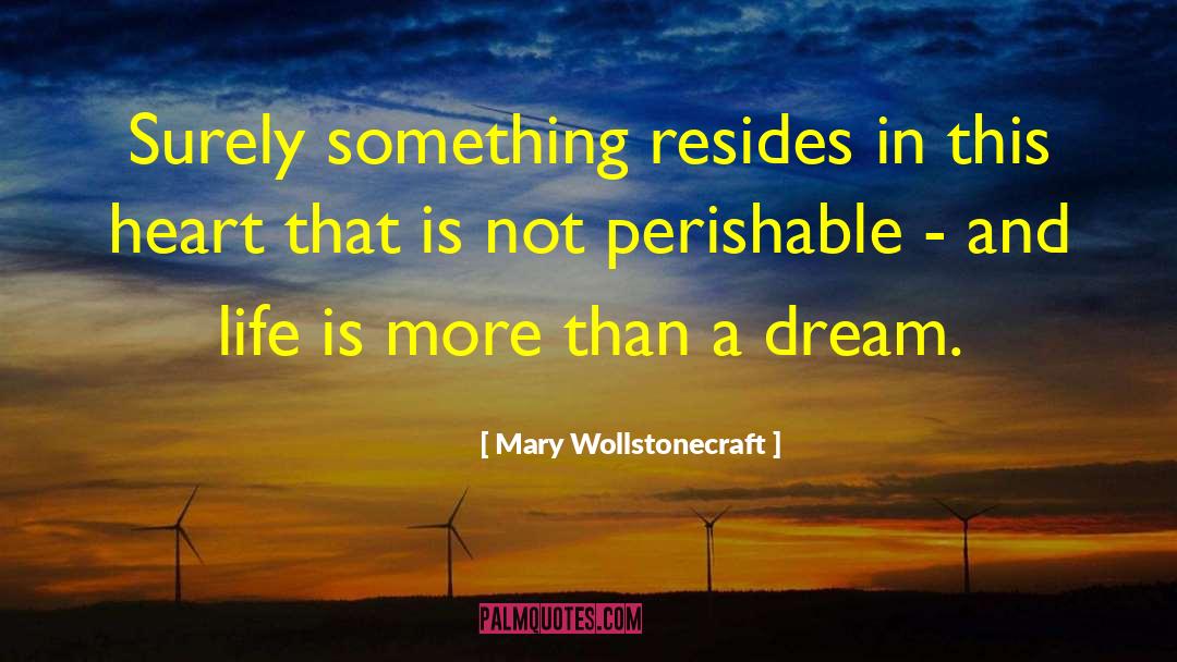 Mary Wollstonecraft Quotes: Surely something resides in this