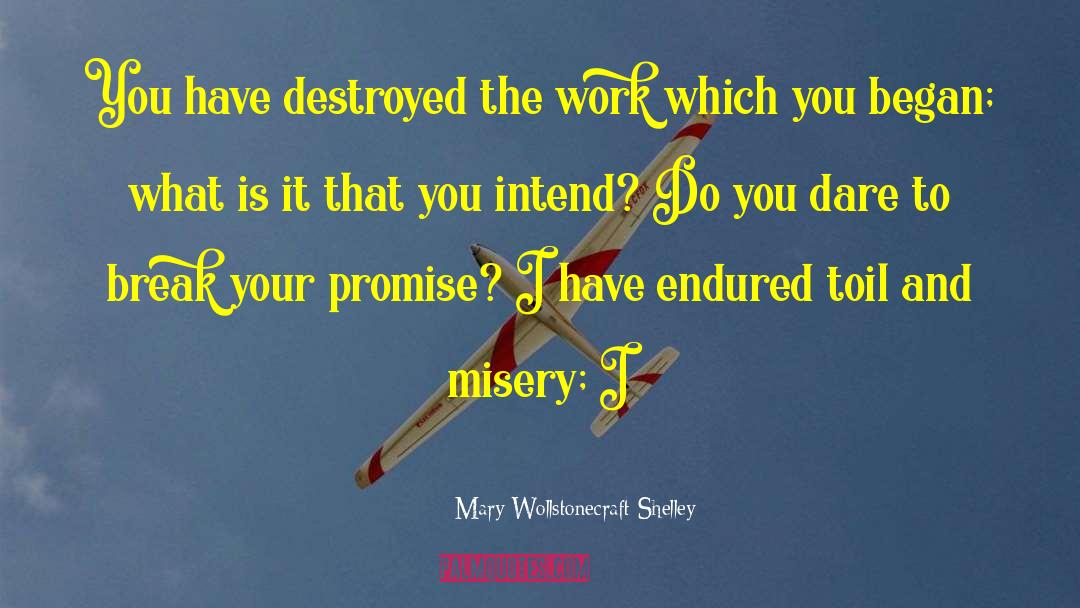 Mary Wollstonecraft Shelley Quotes: You have destroyed the work