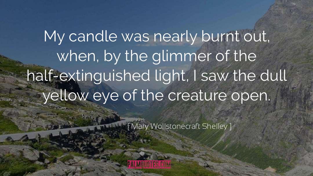 Mary Wollstonecraft Shelley Quotes: My candle was nearly burnt