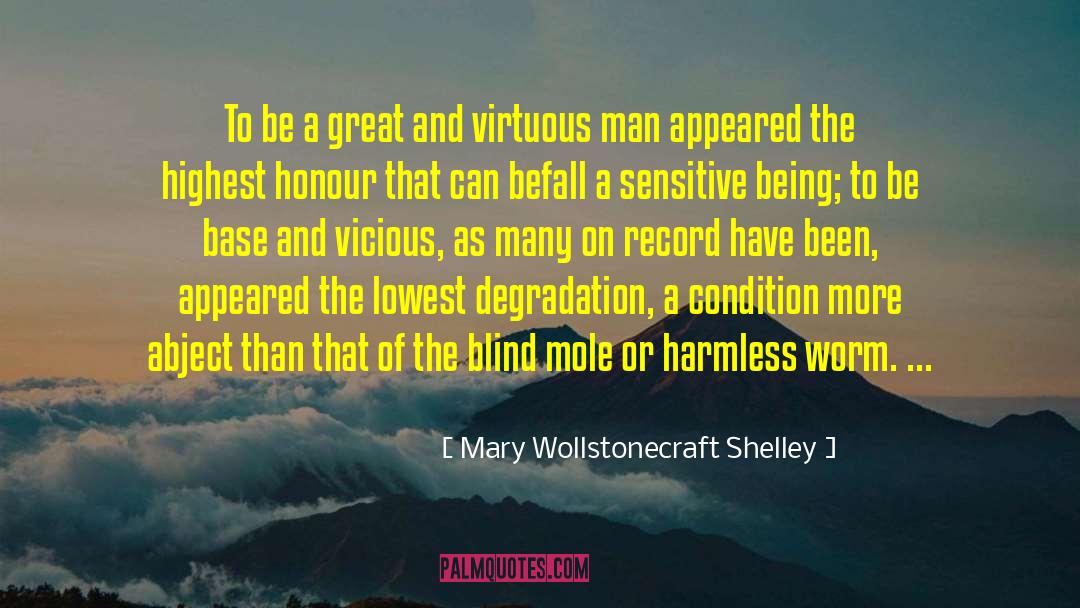Mary Wollstonecraft Shelley Quotes: To be a great and