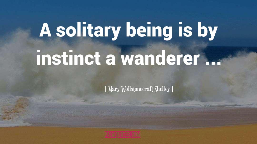 Mary Wollstonecraft Shelley Quotes: A solitary being is by