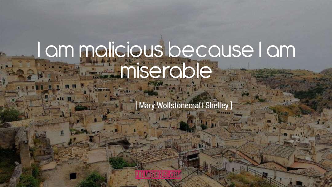 Mary Wollstonecraft Shelley Quotes: I am malicious because I