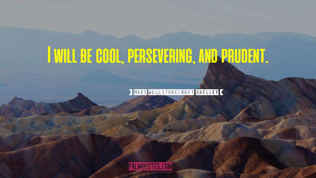 Mary Wollstonecraft Shelley Quotes: I will be cool, persevering,