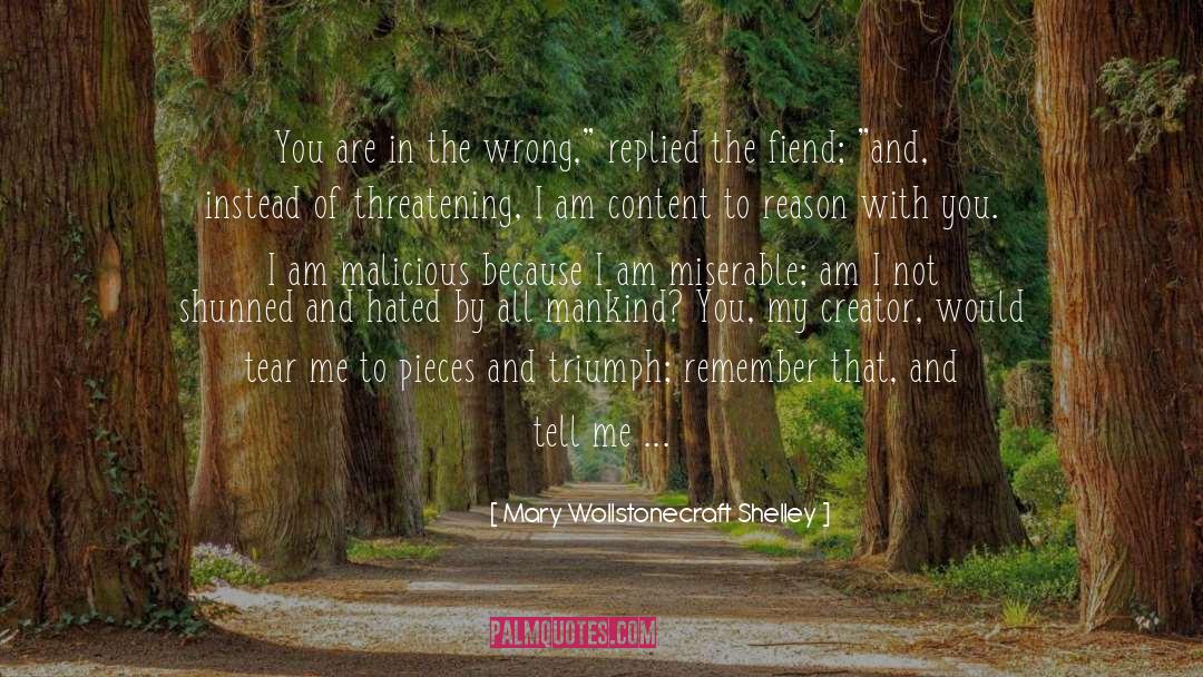 Mary Wollstonecraft Shelley Quotes: You are in the wrong,