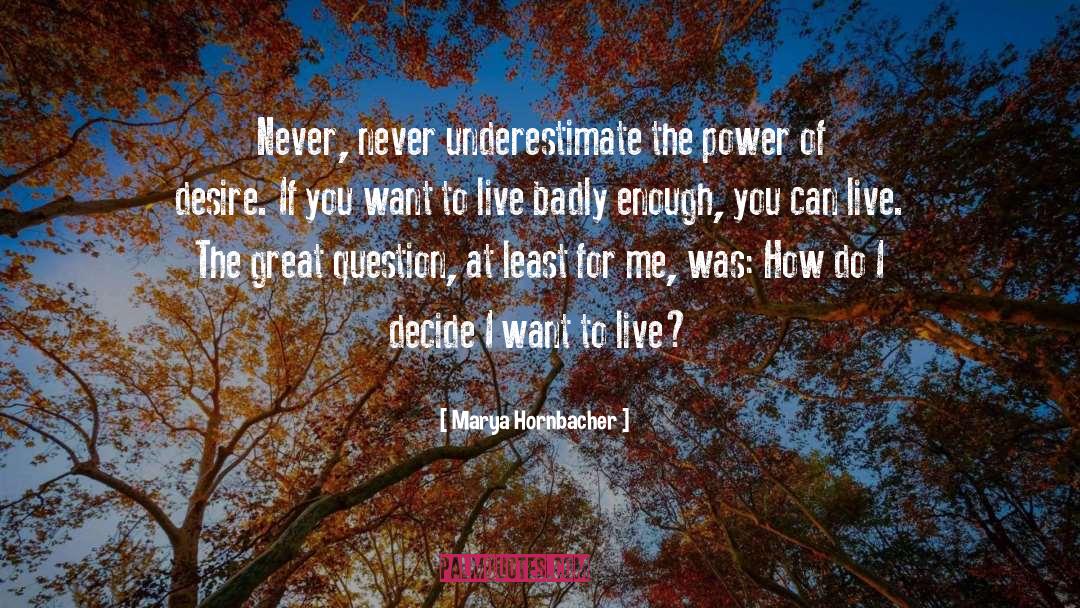 Marya Hornbacher Quotes: Never, never underestimate the power