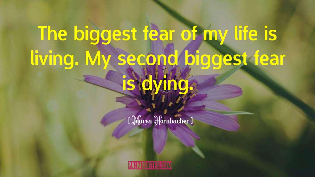 Marya Hornbacher Quotes: The biggest fear of my