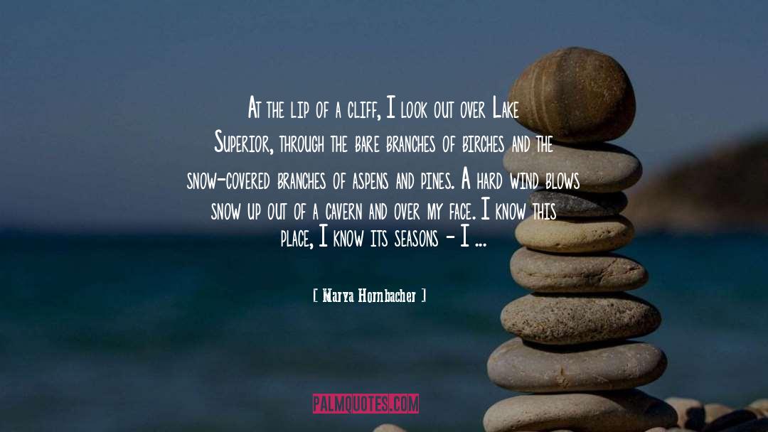 Marya Hornbacher Quotes: At the lip of a