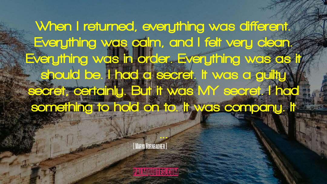 Marya Hornbacher Quotes: When I returned, everything was