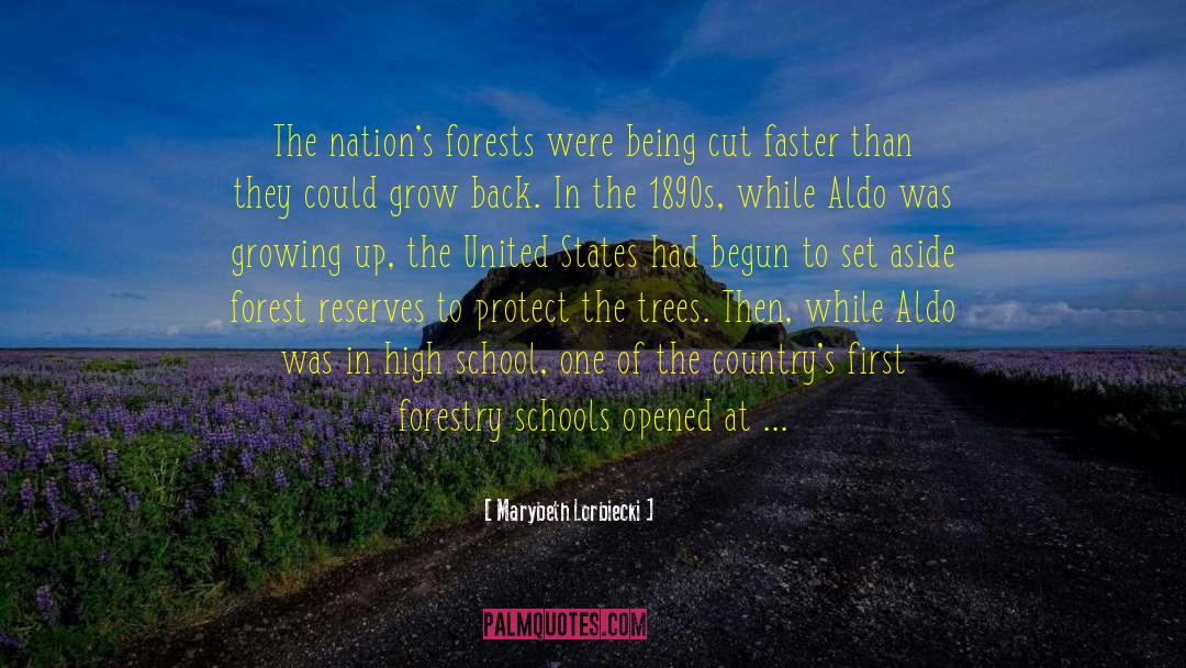 Marybeth Lorbiecki Quotes: The nation's forests were being