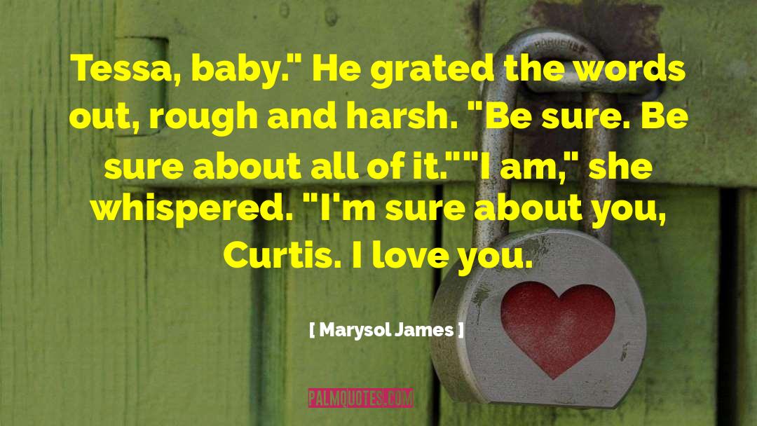 Marysol James Quotes: Tessa, baby.