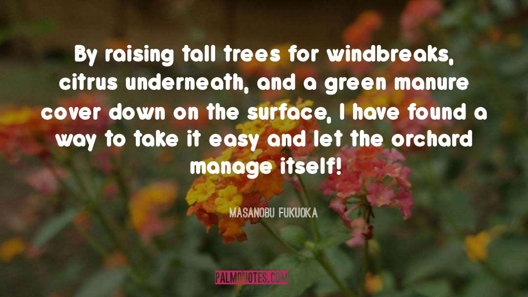 Masanobu Fukuoka Quotes: By raising tall trees for
