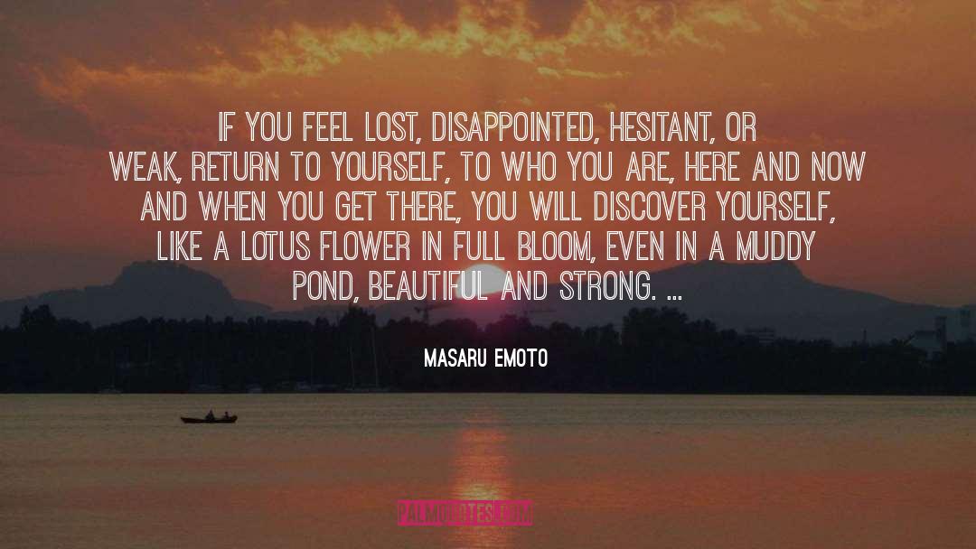 Masaru Emoto Quotes: If you feel lost, disappointed,