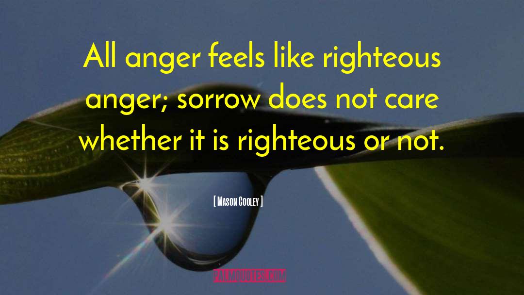 Mason Cooley Quotes: All anger feels like righteous