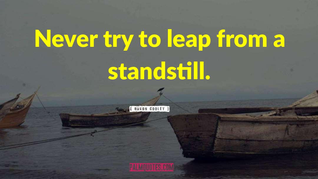 Mason Cooley Quotes: Never try to leap from