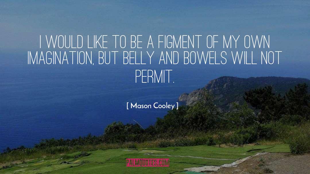 Mason Cooley Quotes: I would like to be