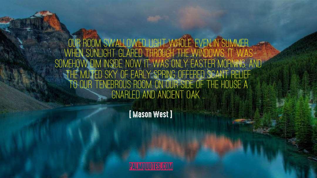Mason West Quotes: Our room swallowed light whole.