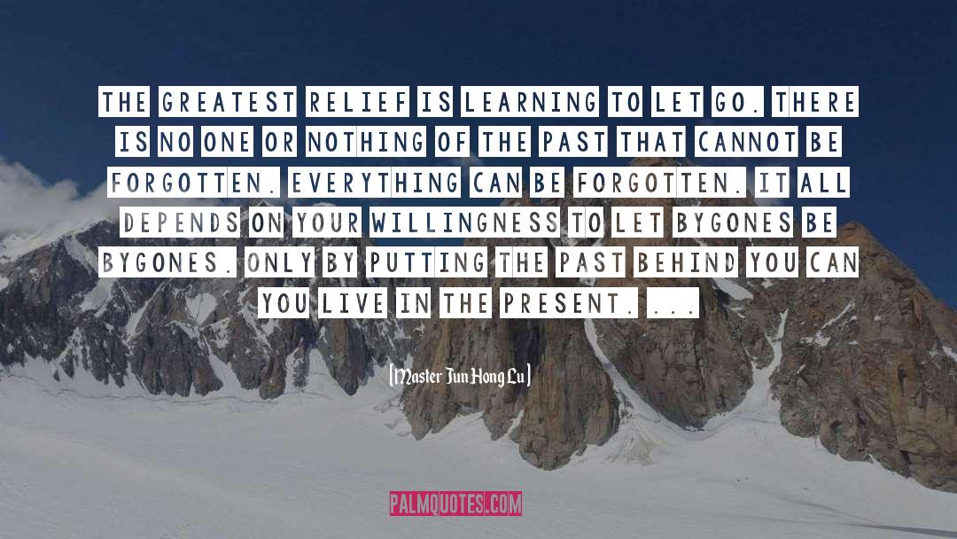 Master Jun Hong Lu Quotes: The greatest relief is learning
