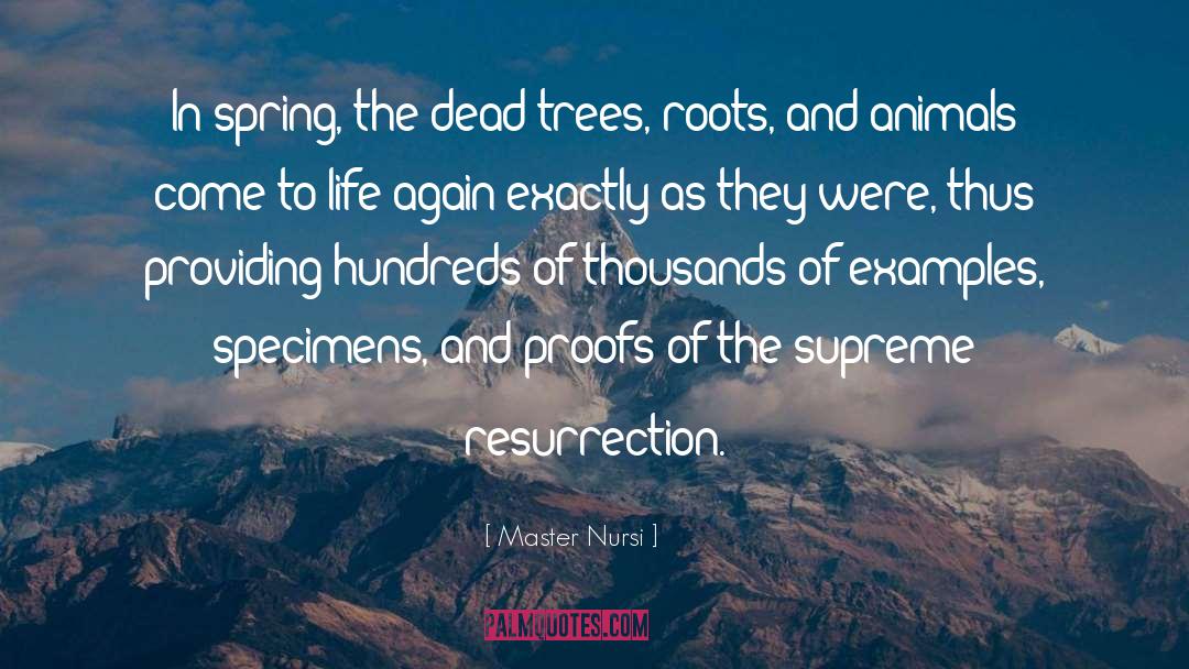 Master Nursi Quotes: In spring, the dead trees,