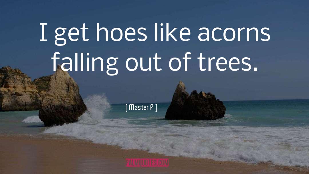 Master P Quotes: I get hoes like acorns