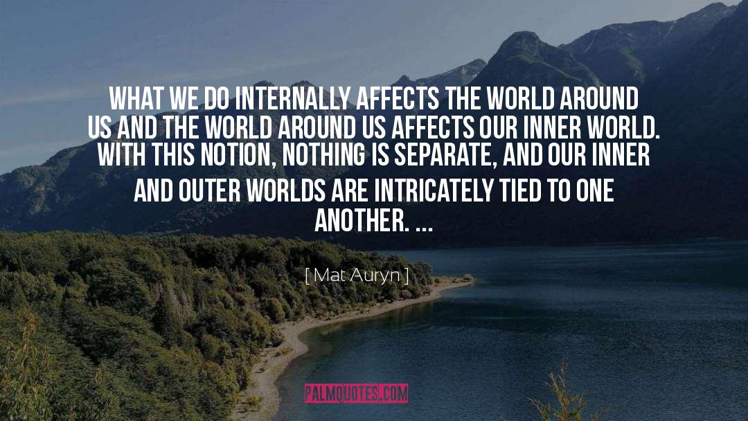 Mat Auryn Quotes: What we do internally affects