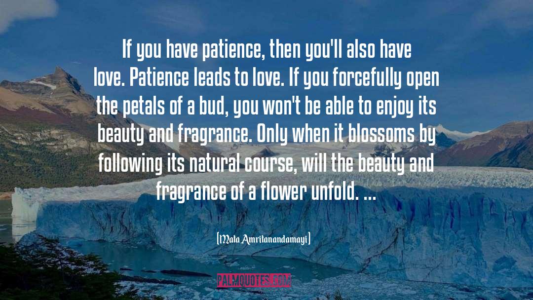 Mata Amritanandamayi Quotes: If you have patience, then