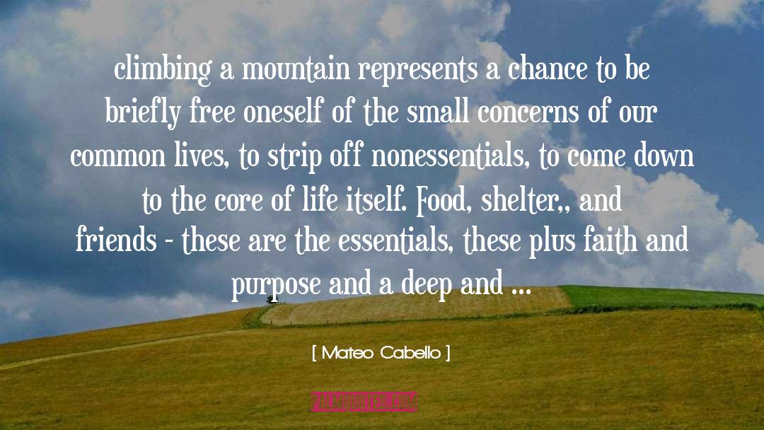 Mateo Cabello Quotes: climbing a mountain represents a