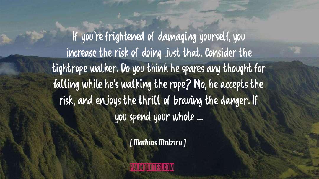 Mathias Malzieu Quotes: If you're frightened of damaging