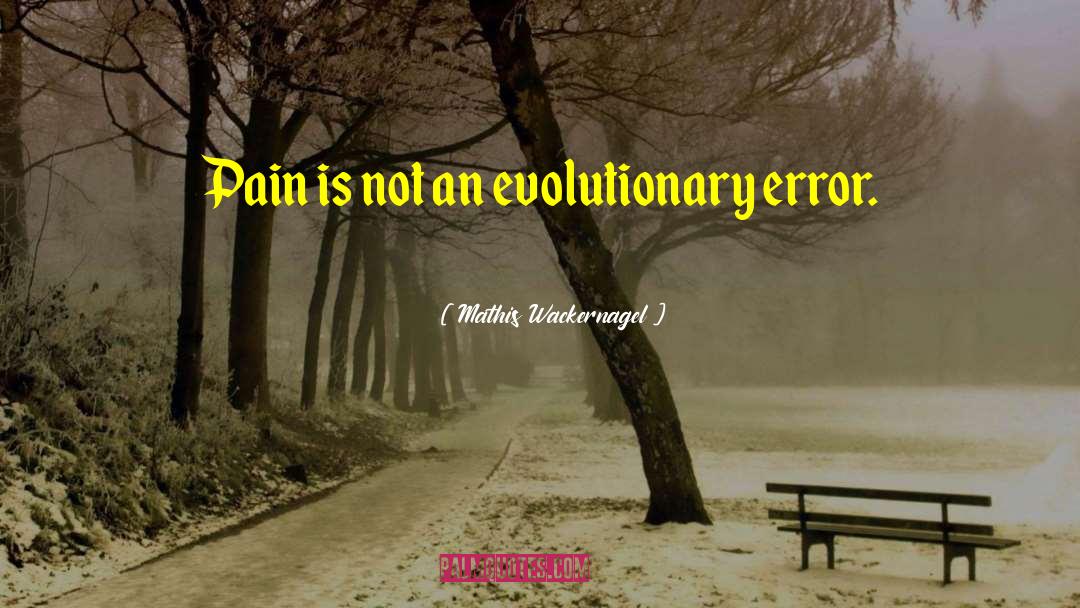 Mathis Wackernagel Quotes: Pain is not an evolutionary