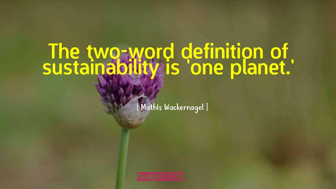 Mathis Wackernagel Quotes: The two-word definition of sustainability