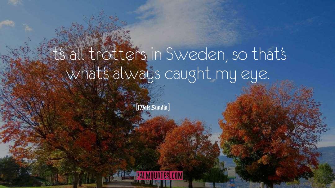 Mats Sundin Quotes: It's all trotters in Sweden,