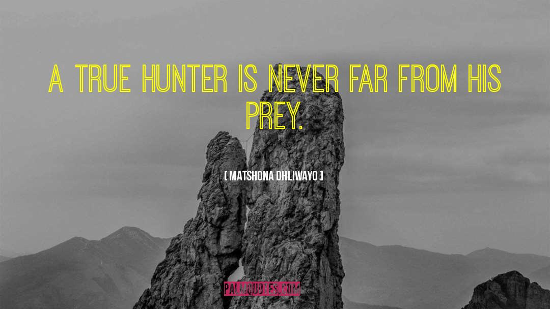 Matshona Dhliwayo Quotes: A true hunter is never