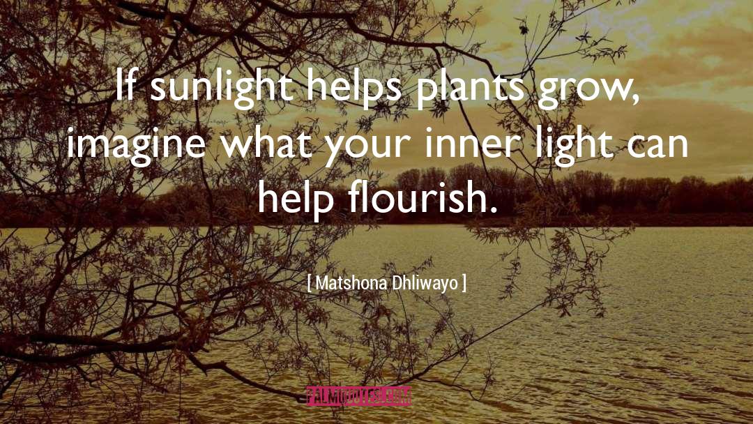 Matshona Dhliwayo Quotes: If sunlight helps plants grow,