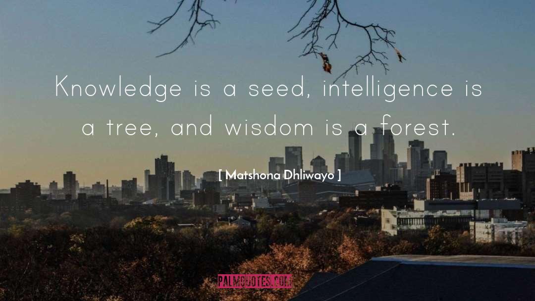 Matshona Dhliwayo Quotes: Knowledge is a seed, intelligence