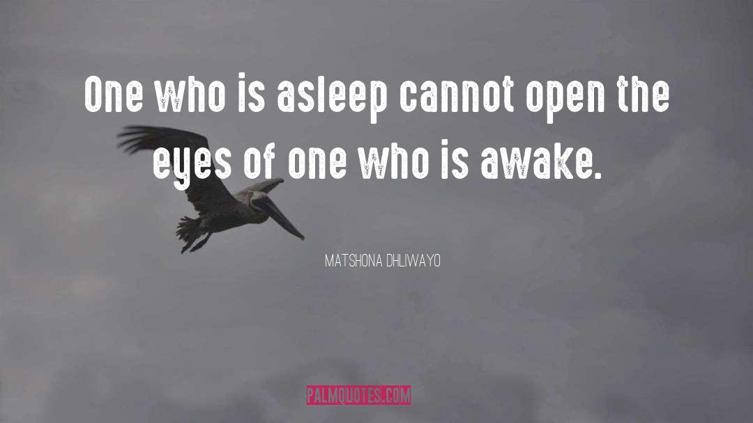 Matshona Dhliwayo Quotes: One who is asleep cannot