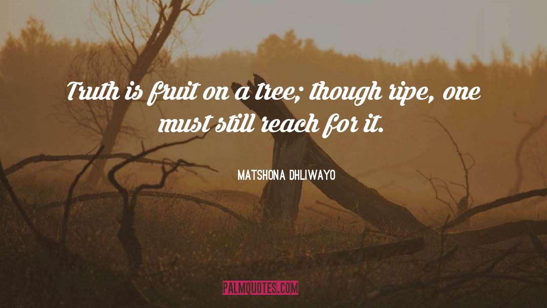 Matshona Dhliwayo Quotes: Truth is fruit on a