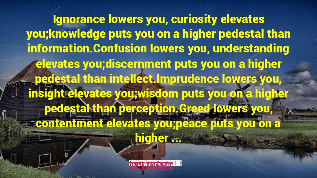 Matshona Dhliwayo Quotes: Ignorance lowers you, curiosity elevates