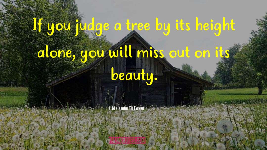 Matshona Dhliwayo Quotes: If you judge a tree